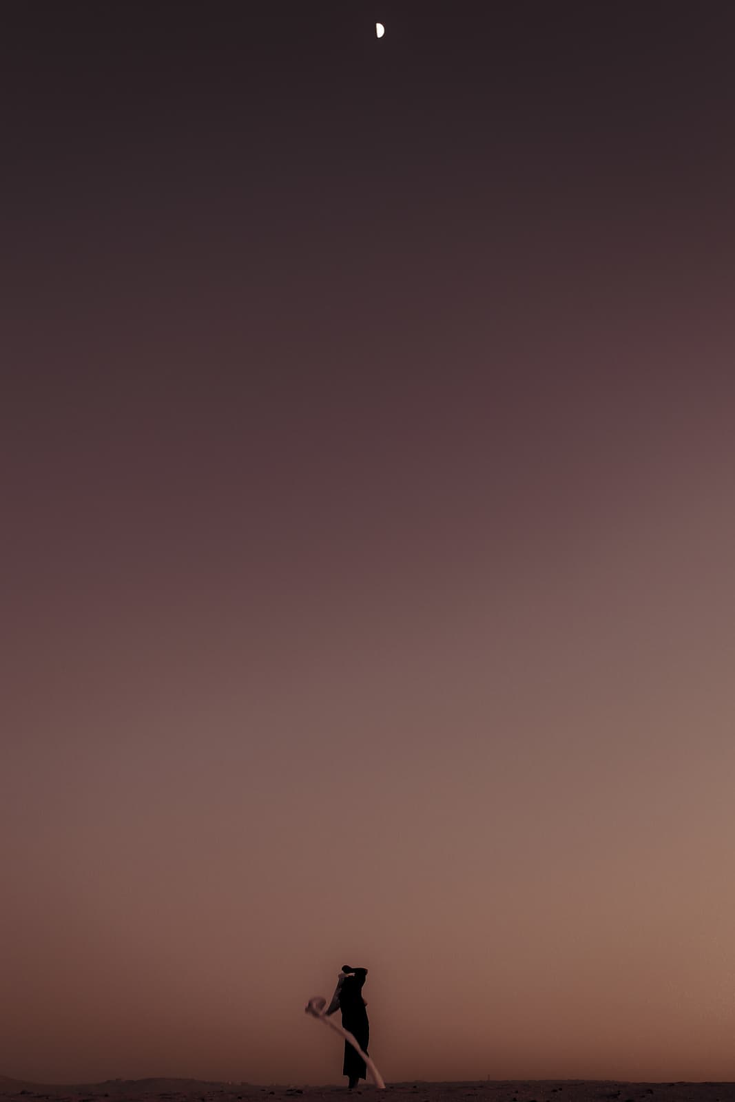 Crescent Wanderer - figure in desert twilight