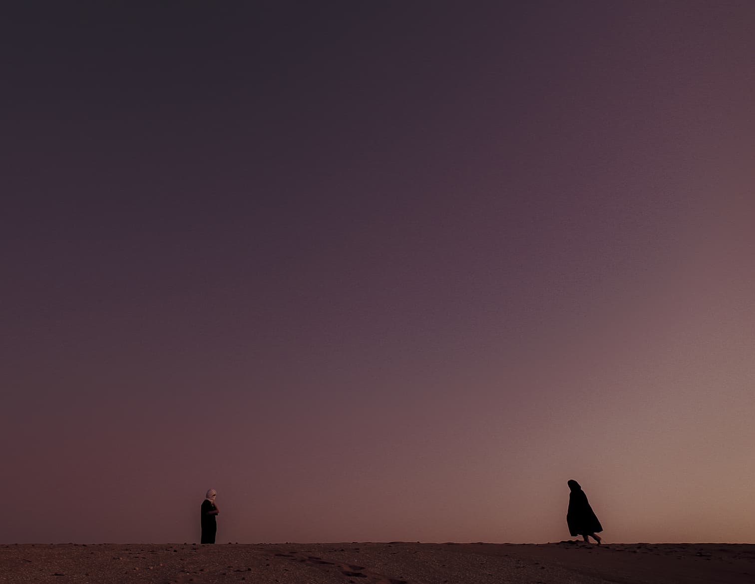 Two figures walking across dune