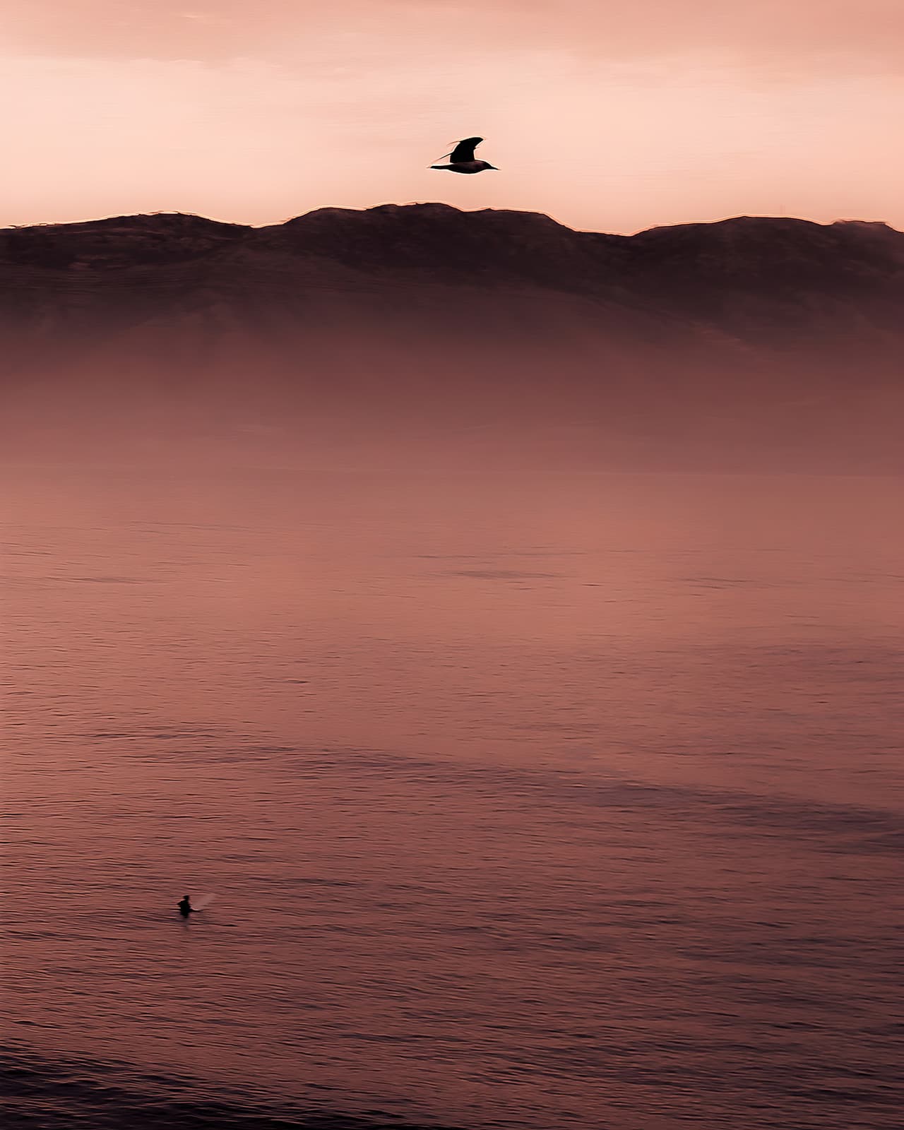 Lone surfer in rose-hued oceanic mist, a bird silhouette above